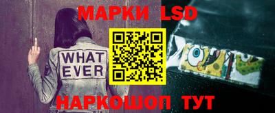тгк Гусев