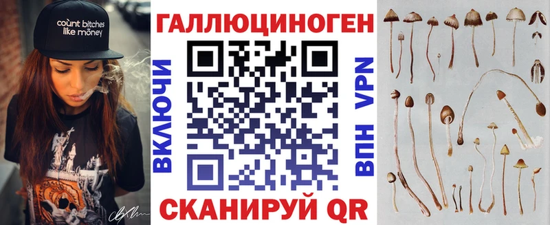 omg ТОР  Клин  Галлюциногенные грибы GOLDEN TEACHER  где купить наркотик 