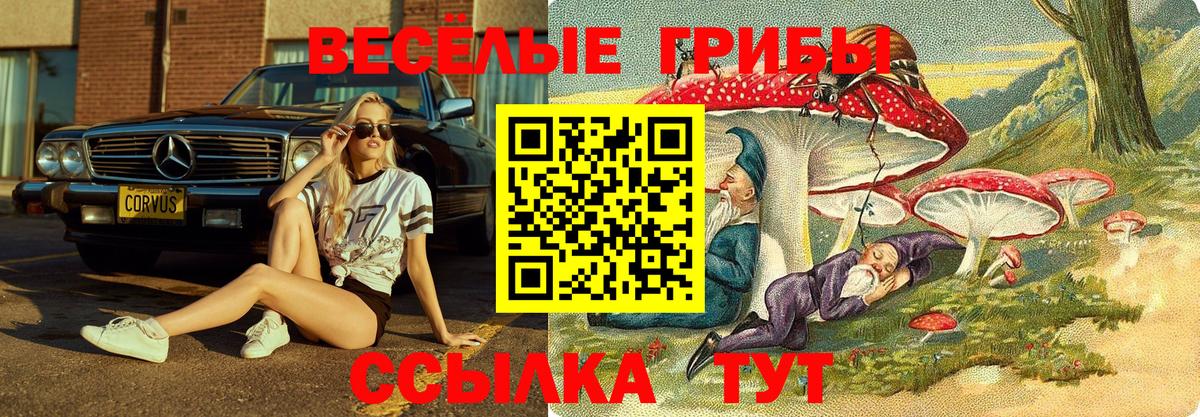 Клин  даркнет сайт  Вход с VPN  Галлюциногенные грибы Cubensis 