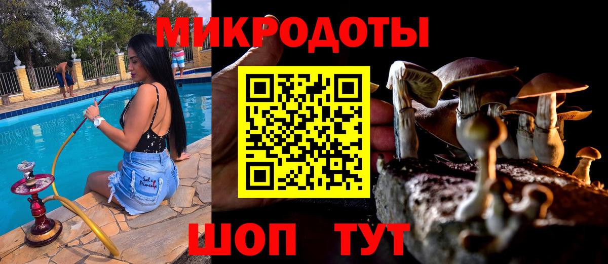 Псилоцибиновые грибы Psilocybine cubensis Клин
